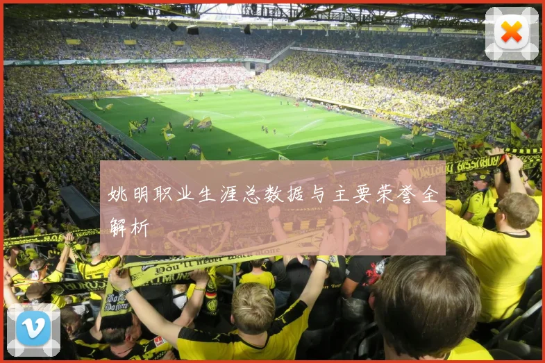 姚明职业生涯总数据与主要荣誉全解析