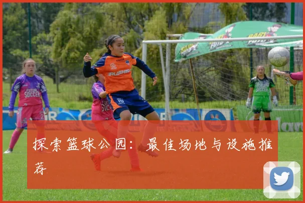 探索篮球公园:最佳场地与设施推荐