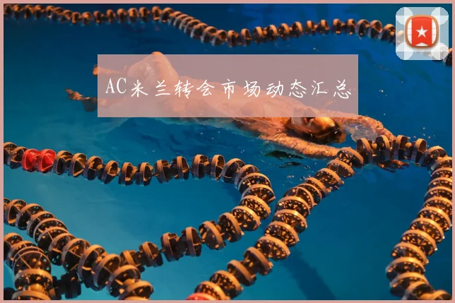AC米兰转会市场动态汇总
