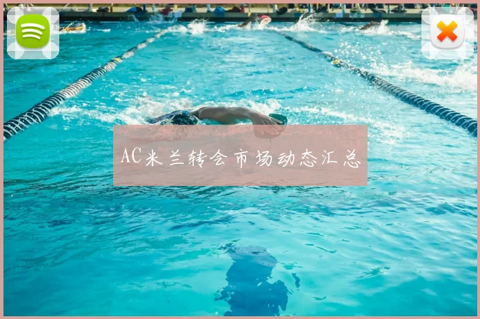 AC米兰转会市场动态汇总